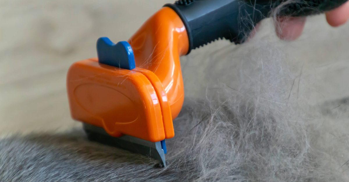 close up image of orange deshedding brush brushing large clumps of gray cat fur