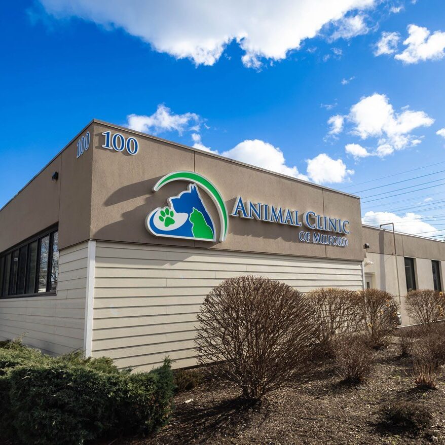 Animal Clinic Of Milford Exterior Animal Clinic Of Milford Exterior