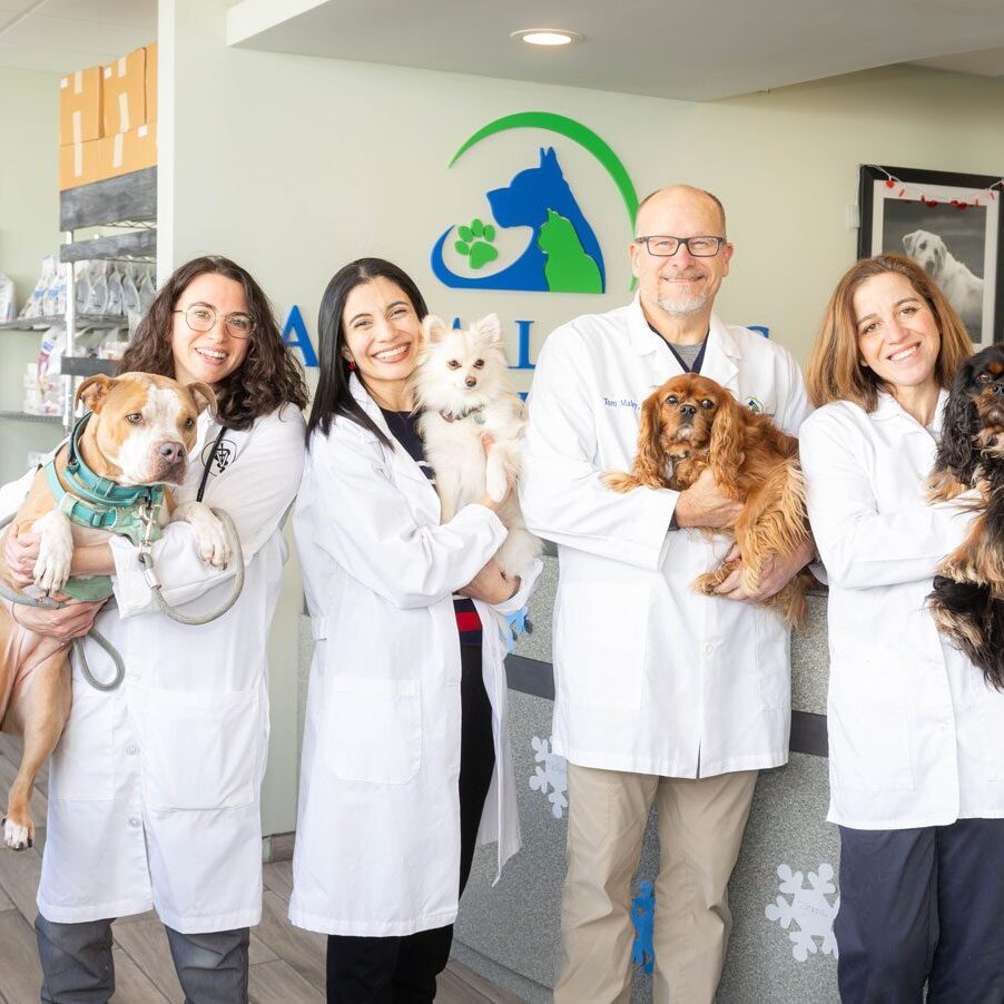 Animal Clnic Of Milford Veterinary Team Animal Clnic Of Milford Veterinary Team